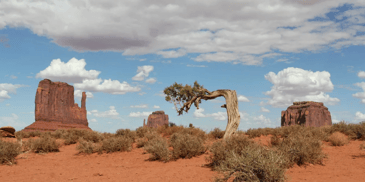 A desert 