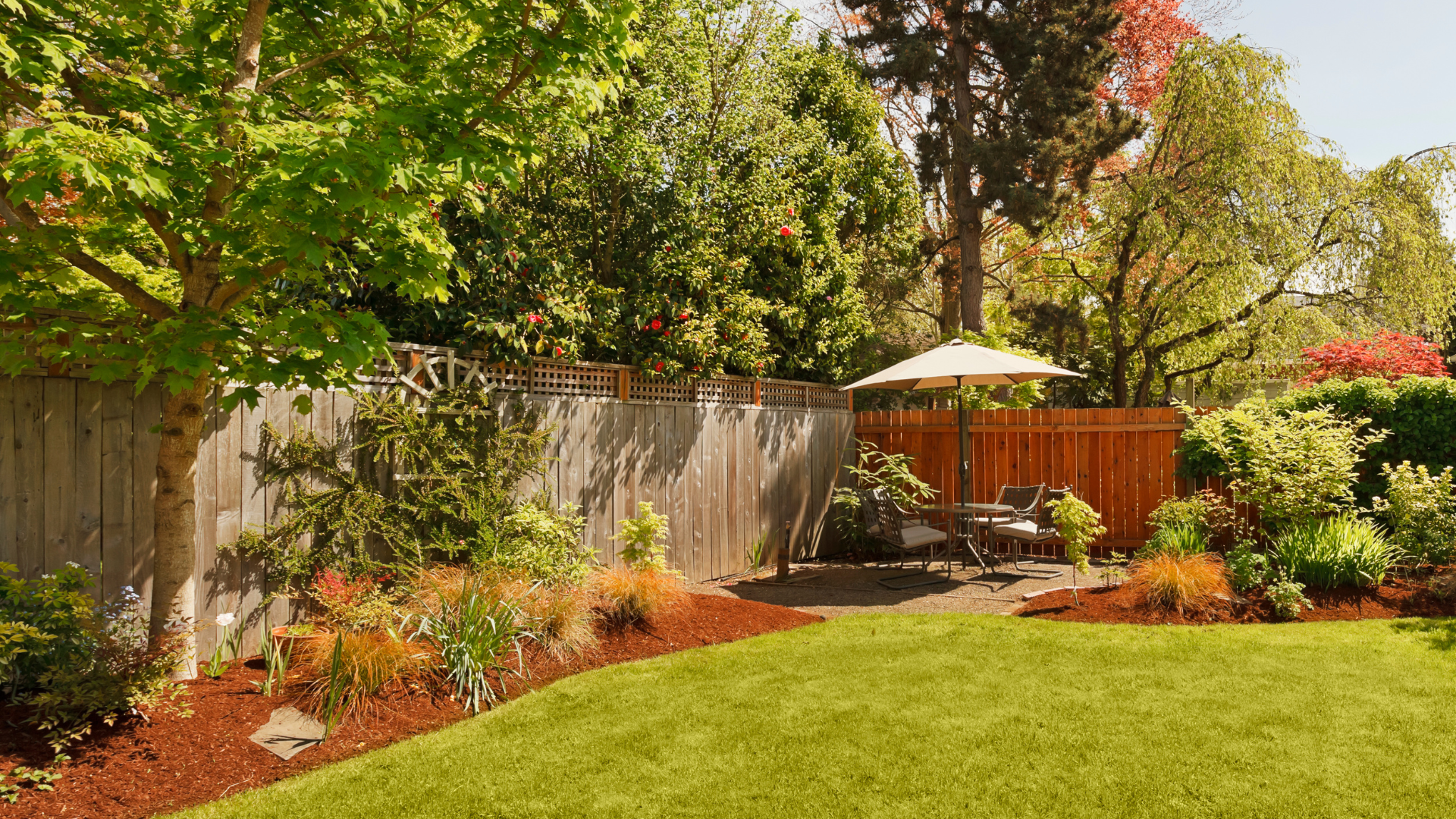 Is Your Backyard in Need of a Landscape Makeover?